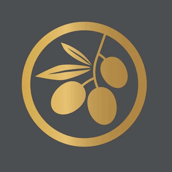 Azeitonas douradas icon- ilustração vector —  Vetores de Stock