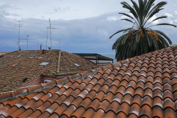 Clay roofs, palm tree and sea — ストック写真