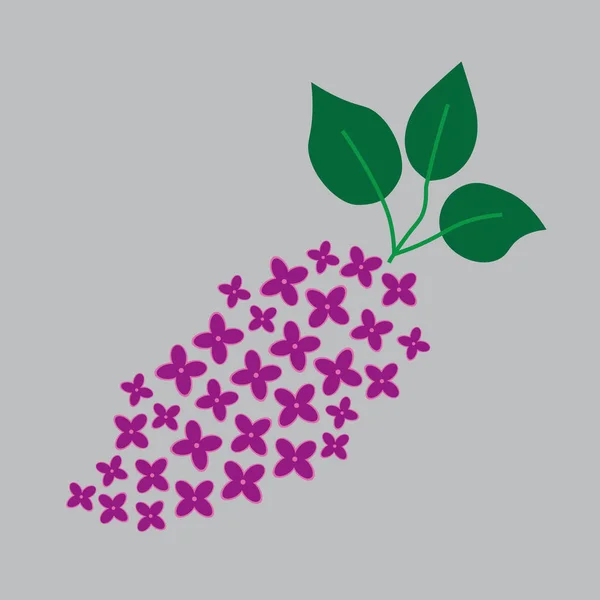 Lilas fleur icon- illustration vectorielle — Image vectorielle