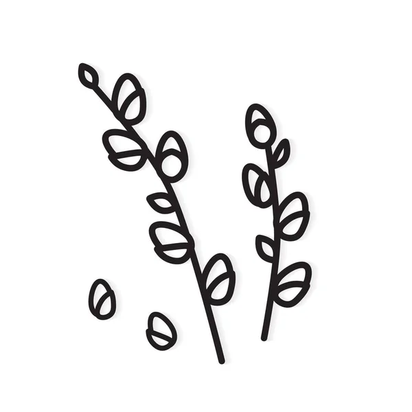 Weidenkätzchen Zweige - Vektorillustration — Stockvektor