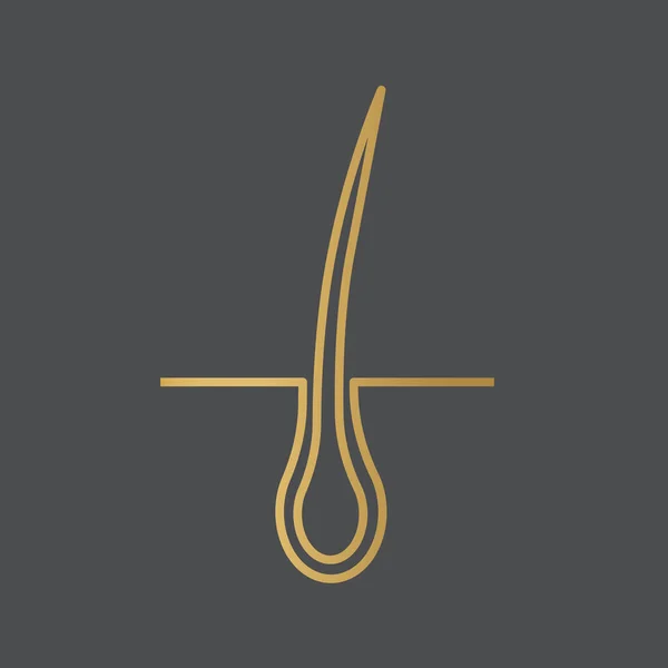 金色の毛包のアイコンベクトルイラスト — ストックベクタ