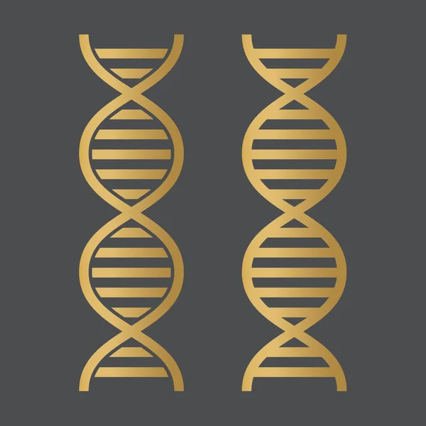 Illustrazione Icon Vettore Dell Elica Del Dna Dorato — Vettoriale Stock