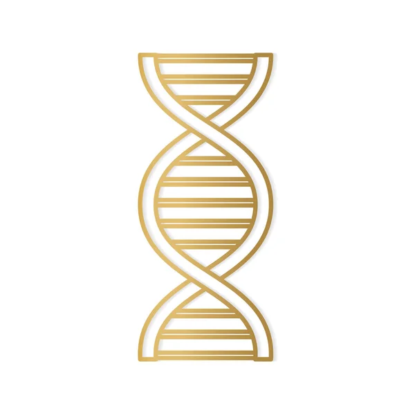 Illustrazione Icon Vettore Dell Elica Del Dna Dorato — Vettoriale Stock