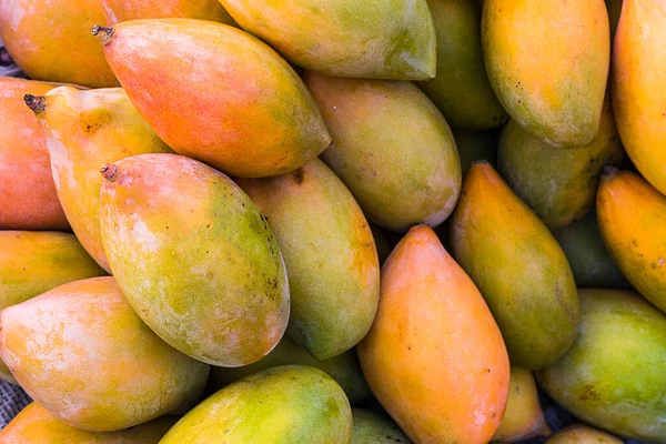 Monte Mangas Orgânicas Rasgadas Fruta Verão Suculenta Mercado Para Vender — Fotografia de Stock