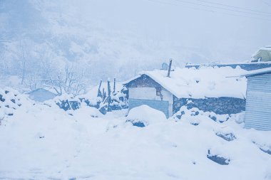Kış ormanlarındaki ağaçlar ve evler karla kaplıydı. Kış Yolu, kar yağdıktan hemen sonra. Donmuş ormanda yol karla kaplı. Güzel kış manzarası - Görüntü