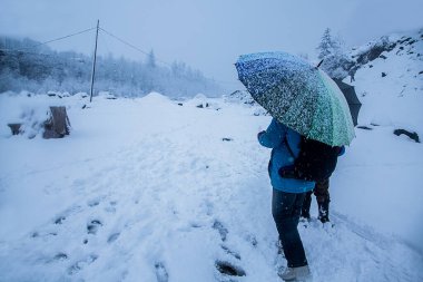 Himachal 'da karlı bir günde şemsiyeli insanlar yürüyor. Karlı kış konsepti, geniş açı çekimi - Görüntü