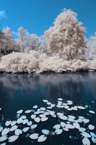 Çok detaylı ile kızılötesi manzaralar