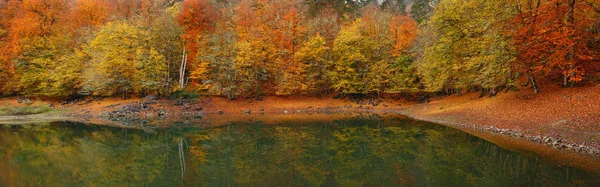 Turecko Bolu Sedm Jezer Národního Parku Výhledem Podzim — Stock fotografie