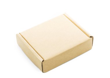 Karton kahverengi kutu izole