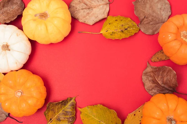 Uroczysta jesień, Halloween i Święto Dziękczynienia dynie i liści — Zdjęcie stockowe