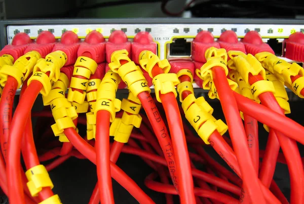 I cavi Ethernet RJ45 sono collegati all'interruttore Internet — Foto Stock