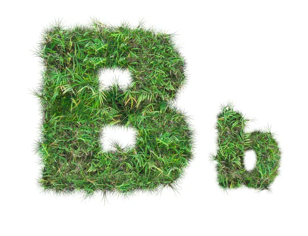 Letter B on green grass isolated — Stock Photo, Image