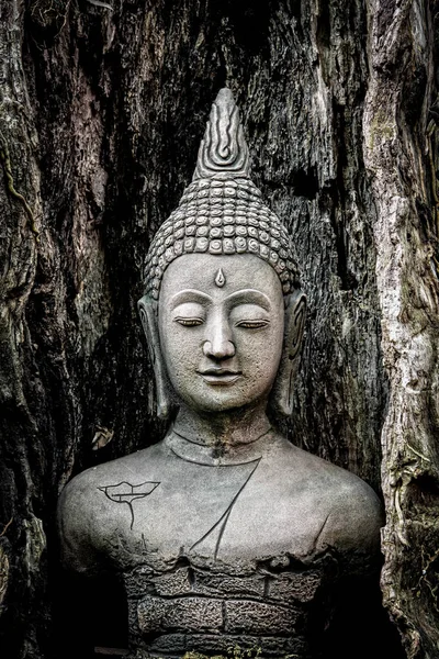 Estátua de buddha velho — Fotografia de Stock