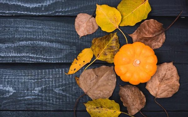 Jesień Dziękczynienia i Halloween dynie i suche liście — Zdjęcie stockowe