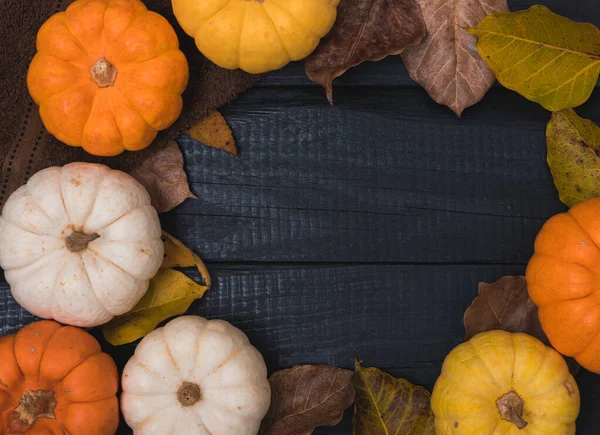 Jesień Dziękczynienia i Halloween dynie i suche liście — Zdjęcie stockowe