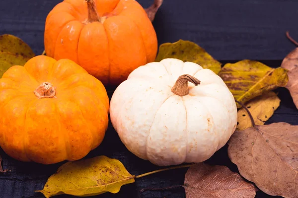 Jesień Dziękczynienia i Halloween dynie, suche liście — Zdjęcie stockowe