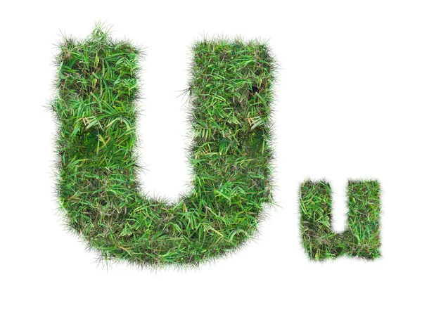 Letter U on green grass isolated — Stock Photo, Image