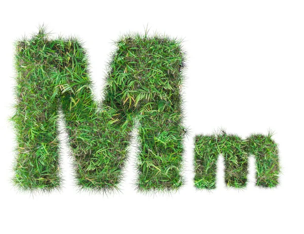 Buchstabe m auf grünem Gras isoliert — Stockfoto