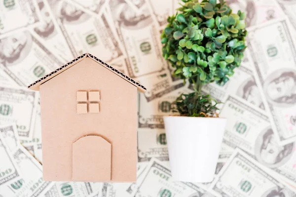 House cardboard model on dollar money — Stock Photo, Image