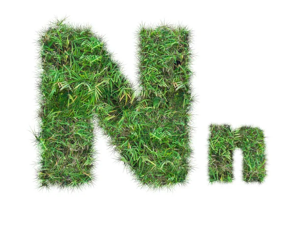 Letter N on green grass isolated — Stock Photo, Image