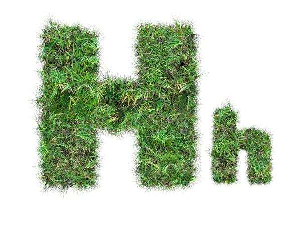 Buchstabe Auf Grünem Gras Isoliert Auf Weißem Hintergrund — Stockfoto