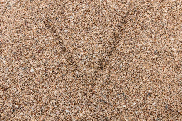 Character Alphabet Writing Sand — Stock Photo, Image