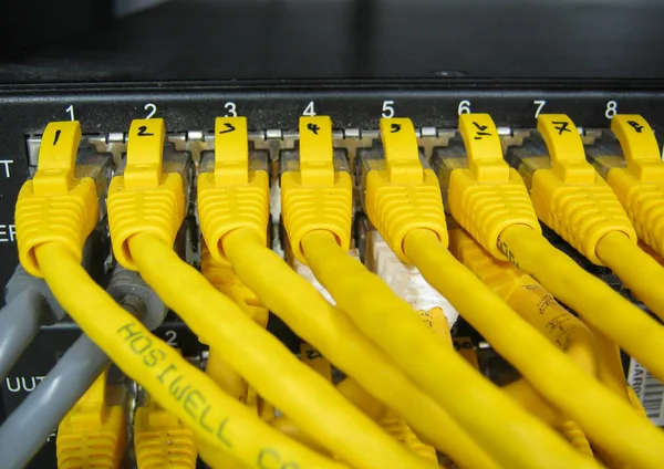 Ethernet Rj45 Kablar Anslutna Till Internet Switch Business Server Nätverk — Stockfoto