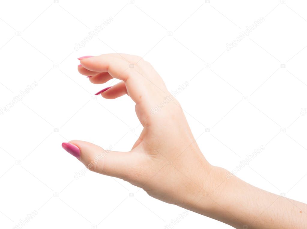 Woman Hands gestures on over white background