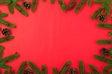Yeni yılınız kutlu olsun ya da noel günü tepedeki düz köknar ağacı dalları uzanıyor