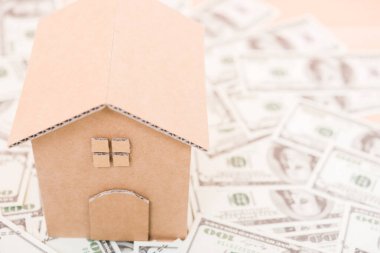 Dolar parası üzerine ev karton modeli, para birimi para konsepti