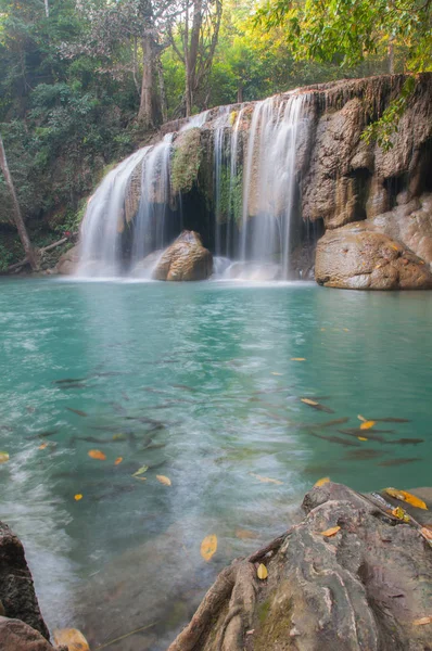 Cascata Foresta Profonda Cascata Erawan Parco Nazionale Kanchanaburi Della Thailandia — Foto Stock