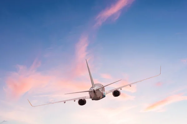 Letadlo Zádi Letadla Obloze Při Západu Slunce — Stock fotografie