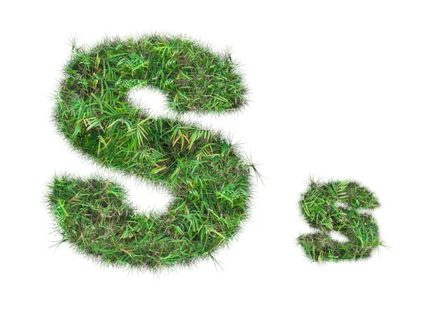 Буква Зеленой Траве Изолированы Белом Фоне — стоковое фото