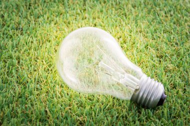 Yeşil çimen arka planında enerji tasarrufu ampul kavramı