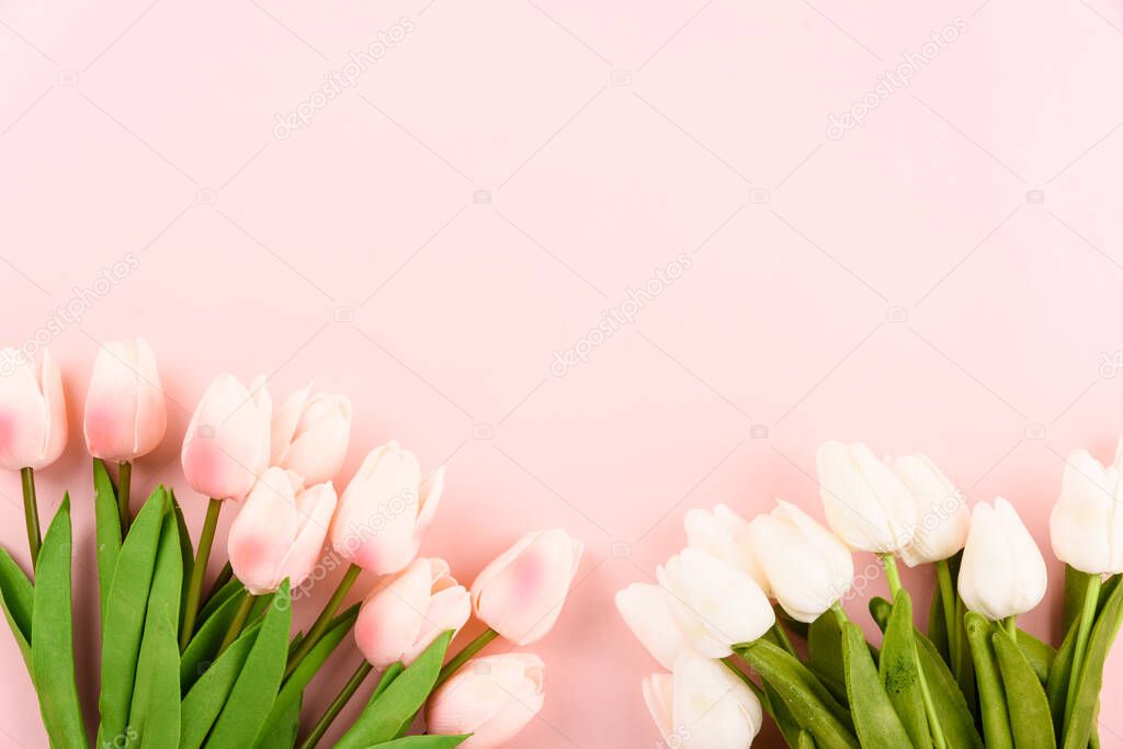Happy Women's Day, Mother's Day concept. top view flat lay Tulip flower on pink background, copy space for your text