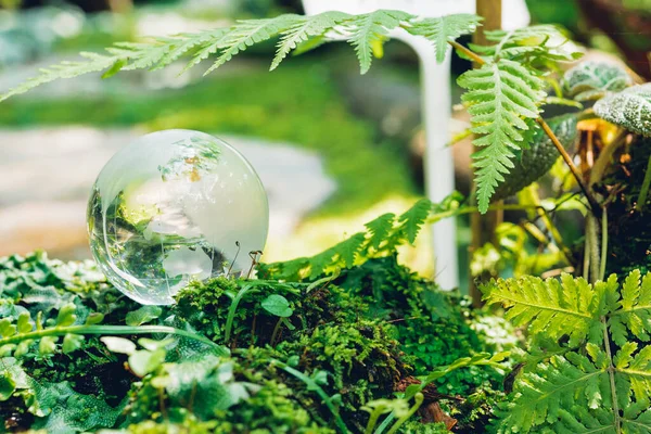 Globe Glas Gras Bos Achtergrond Van Natuur Milieudag Concept — Stockfoto