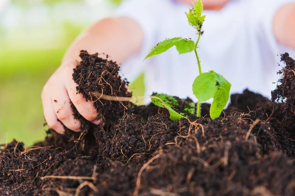 Weltumwelttag Umweltkonzept Hand Asiatischer Niedlicher Kleiner Fröhlicher Junge Pflanzt Jungen — Stockfoto