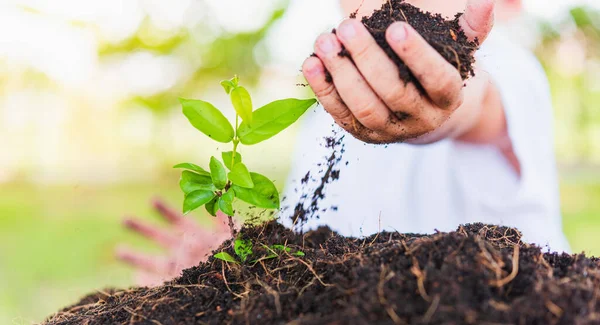 Weltumwelttag Umwelt Und World Concept Hand Von Asiatischen Niedlichen Fröhlichen — Stockfoto