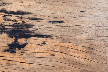 Eski ahşap tahta, alan ahşap desen arkaplanı kopyala