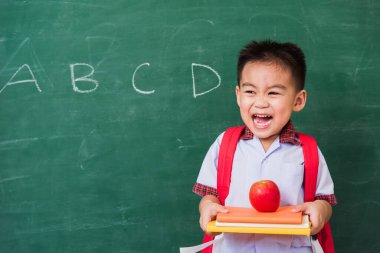 Okula geri dön. Anaokulundan, okul çantasıyla elinde kırmızı elmayla yeşil okul tahtasına gülümseyen, okul eğitimine ilk kez katılan mutlu Asyalı komik, sevimli çocuk.