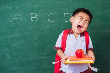 Okula geri dön. Anaokulundan, okul çantasıyla elinde kırmızı elmayla yeşil okul tahtasına gülümseyen, okul eğitimine ilk kez katılan mutlu Asyalı komik, sevimli çocuk.