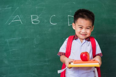 Okula geri dön. Anaokulundan, okul çantasıyla elinde kırmızı elmayla yeşil okul tahtasına gülümseyen, okul eğitimine ilk kez katılan mutlu Asyalı komik, sevimli çocuk.