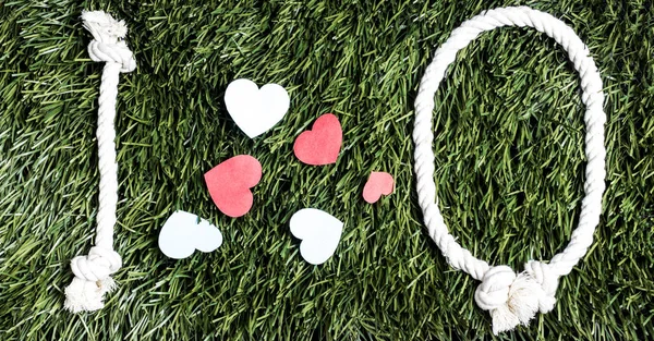 İpleri çim zemin üzerine yapılan Q transkripsiyon seviyorum.