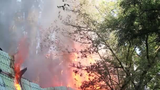 Μεγάλη Φωτιά Και Μαύρο Καπνό Γυρίσματα Από Ύψος — Αρχείο Βίντεο