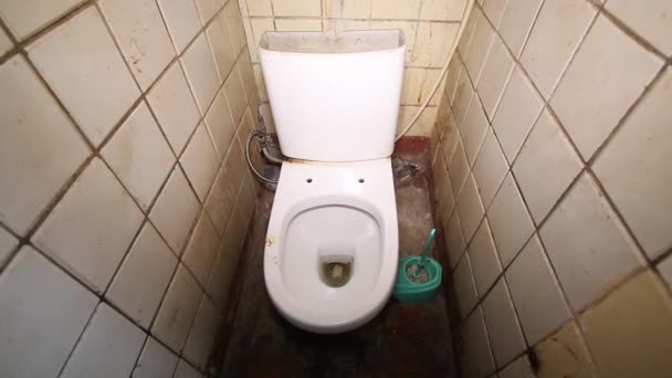 Старий Брудний Спільний Громадський Туалет Розділений Плитці — стокове відео
