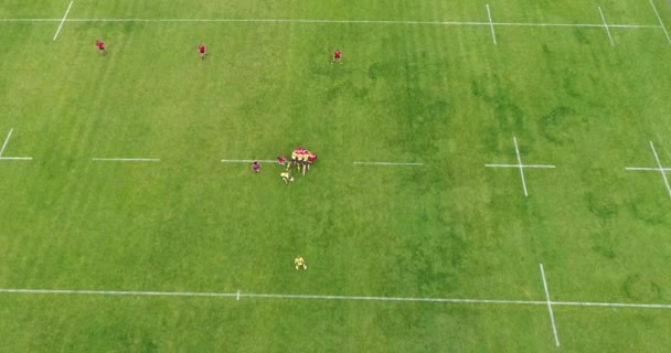 Vrouwelijke Rugbyspelers Trainen Stadion Meteor Dnipro — Stockvideo