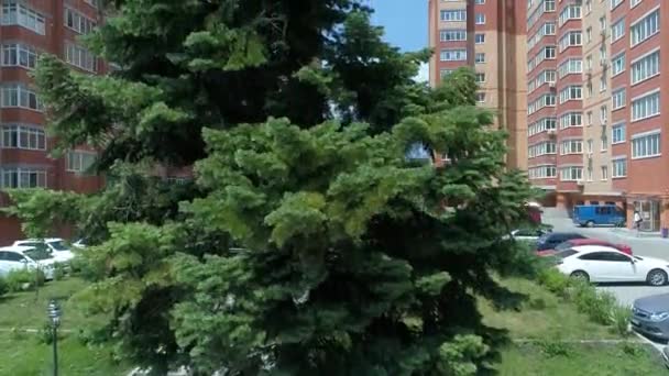 空中无人机飞行画面 上夕阳光玻璃商务中心的城市风光如画的风景 塔拉斯舍甫琴科 乌克兰 欧洲的大道上空飞行 相机的上升 — 图库视频影像