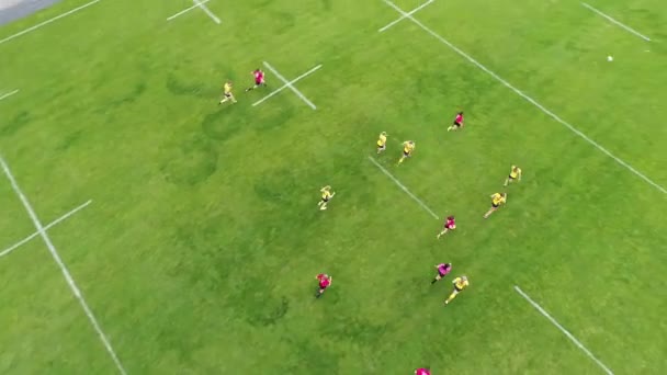 Pemain Rugby Perempuan Pelatihan Stadion Meteor Dnipro Udara Panorama Top — Stok Video