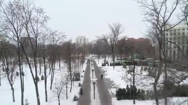 Vinter Stad Från Höjd Utsikt Över Stadspark Täckt Snö Utsikt — Stockvideo
