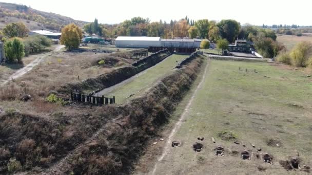 Marin Tränare Tittar Tre Praktikanter Gör Armhävningar Skjutbanan — Stockvideo